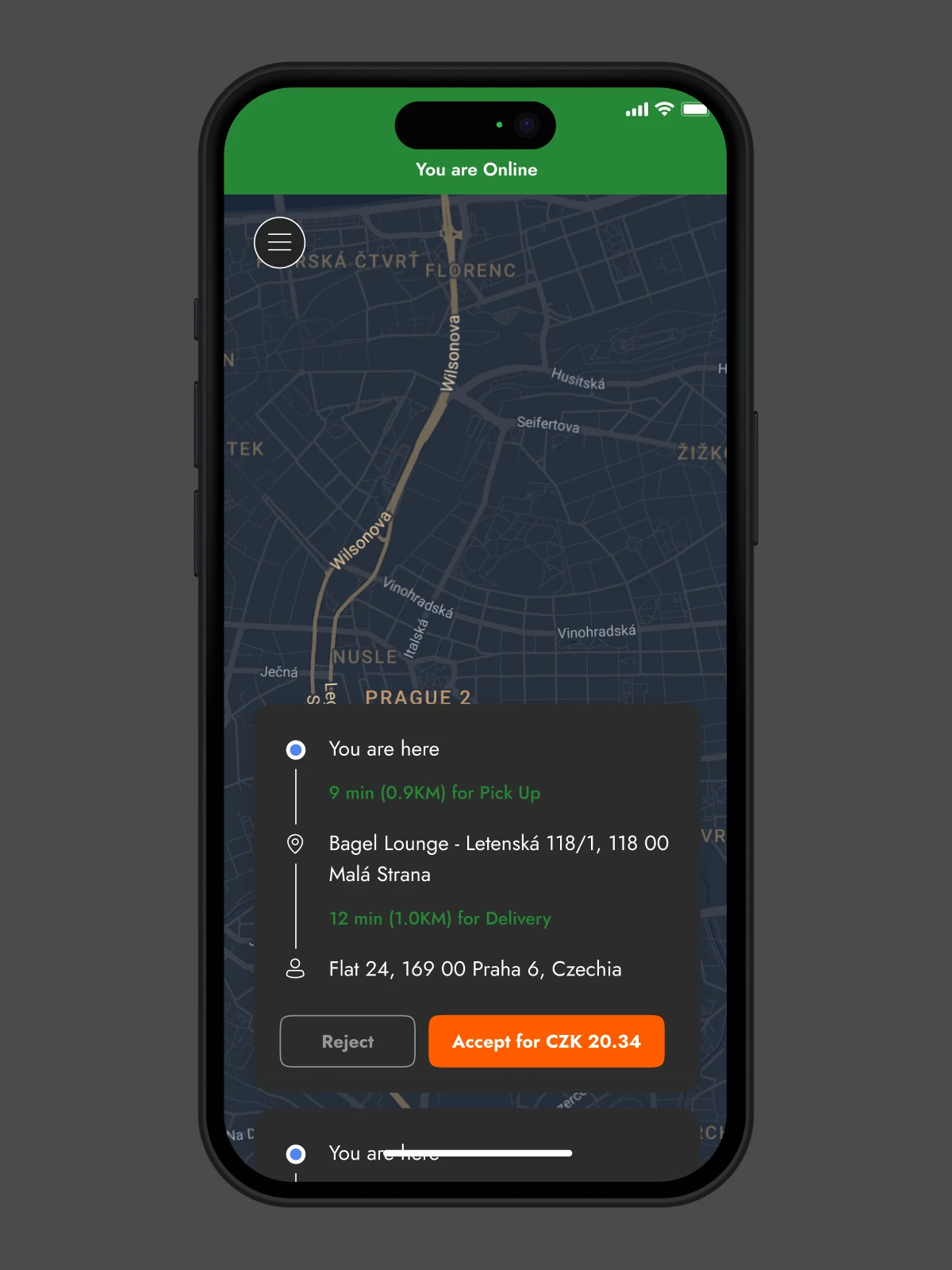 delivery guy order recieved